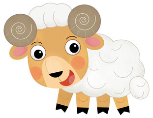 Cartoon scene sheep or ram farm ranch animal is standing looking and smiling isolated illustration for kids
