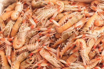Fresh Shrimp Pile on Store Counter