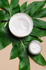 Natural beauty cream and green leaves