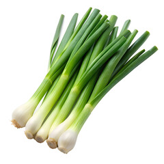 Obraz premium fresh green onions on transparent background png