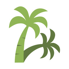 palm tree illustration
