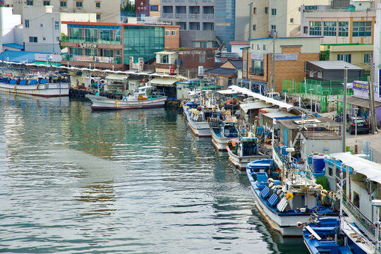 Fishing Boats Docked in Sokcho Harbor near Abai Village