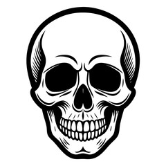 human skull illustration