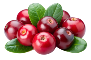 Red cranberries isolated on a transparent background png
