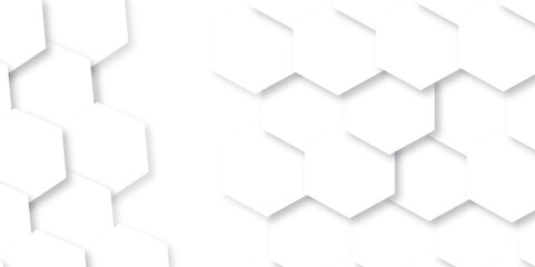 Background with hexagons. Abstract background with lines. white texture background. white and hexagon abstract background. white paper texture and futuristic business .
