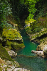 Naklejka premium River in Martvili Canyon in Georgia