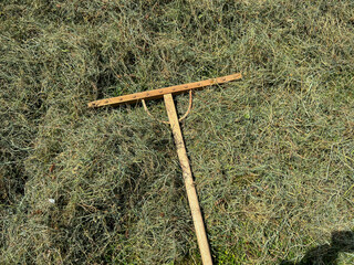 Hand-made rakes good for raking and turning over grass when drying hay in a small meadow