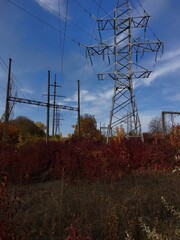 power lines in the field