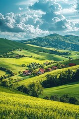 Obraz premium Beautiful countryside grassy field