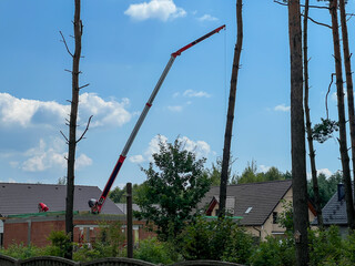 Fototapety na wymiar - Fototapeta24.pl