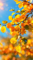 Autumn background