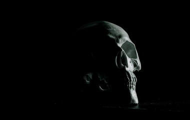 scary human skull horror Halloween