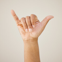 Person, hand gesture and sign language in studio background, shaka icon and surfing culture of call...