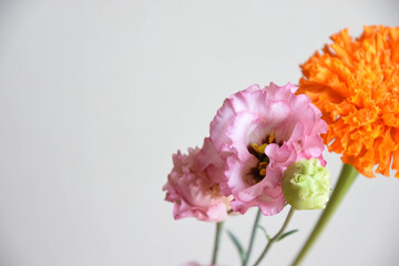 マリーゴールドとトルコ桔梗