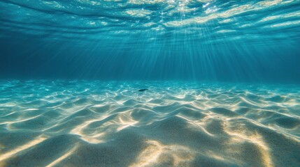 Sunlight beams down through the crystal clear ocean waters to illuminate the sandy bottom