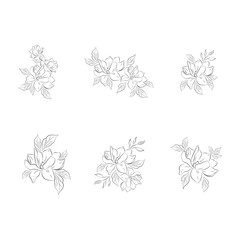 Vector Illustration Flower Line Art