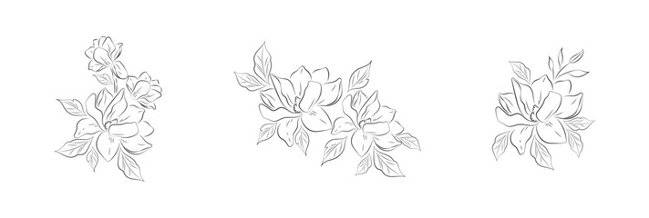 Vector Illustration Flower Line Art
