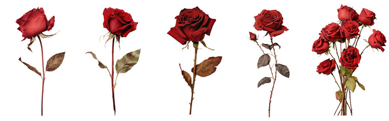 Elegant red roses png cut out element set