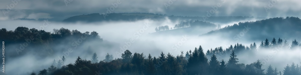 Poster a misty, foggy forest with trees and a cloudy sky. the atmosphere is calm and serene, with the mist 