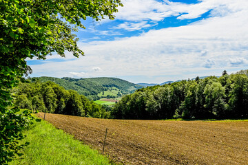 Dorf Blauen, Blauen, Wanderweg, Landwirtschaft, Wiesen, Felder, Obstbäume, Blauenpass, Hügel, Wald, Waldweg, Laufental, Birstal, Baselland, Sommer, Schweiz