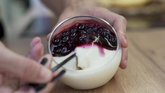 Perfect blueberry panna cotta dessert Recipe Creamy Delicious Dessert