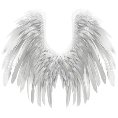 angel wings isolated on a white background
