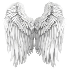 angel wings isolated on a white background