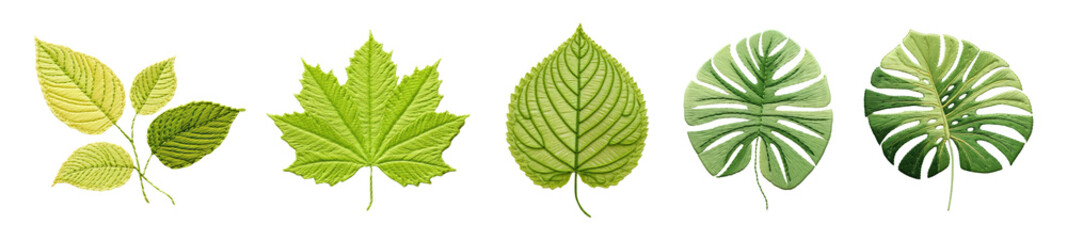 Fototapeta premium cute leaf embroidery style png cut out element set