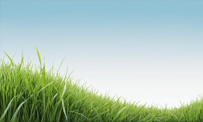 Fototapeta premium Close-up of green grass blades against a blue sky
