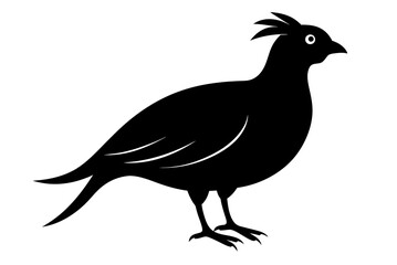 Beautiful bird quil silhouette black icon vector art illustration