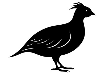 Beautiful bird quil silhouette black icon vector art illustration