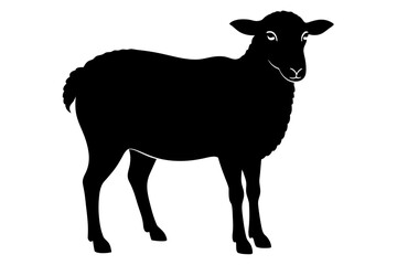  Beautiful sheep silhouette black icon vector art illustration 