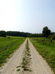 Hiking in the Argonne forest in France - View of the gardens of La Neuville Au Pont