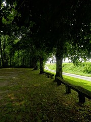 Hiking in the Argonne forest in France - View of the religious monument - Côte à Vignes - Sainte Menehould commemoration