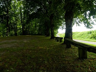Hiking in the Argonne forest in France - View of the religious monument - C&ocirc;te &agrave; Vignes - Sainte Menehould commemoration
