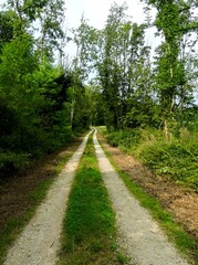Hiking in the Argonne forest in France