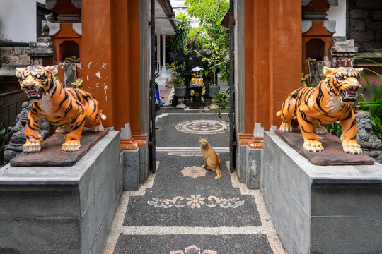 Orange, Ginger Cat in doorway of temple or home, between two tiger statues with mosaic floor and rusty door or gate in Bali, Indonesia