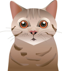 Cat illustration brown body orange eyes