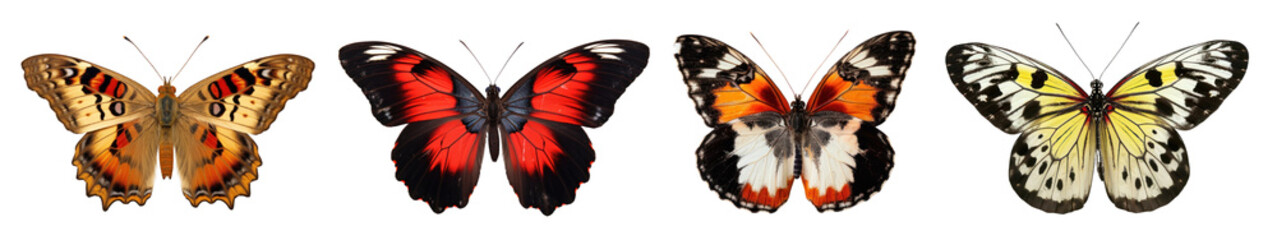 Fototapeta premium Butterfly png cut out element set