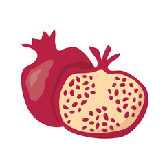 pomegranate tropical fruit  - vector illustration