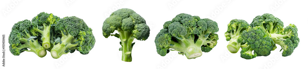 Sticker Broccoli vegetable png cut out element set