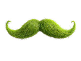A green, fuzzy mustache isolated on a transparent background