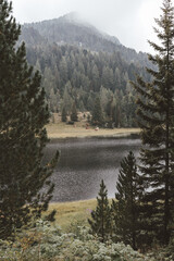 river in the mountains