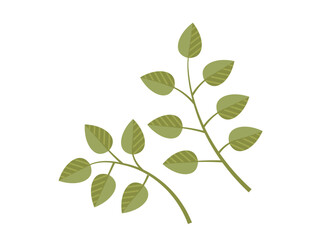 Leaves vector illustration. Leaves grow and intertwine, creating verdant tapestry in garden The leaves metaphor eloquently expresses poetic dance natures ballet Blooms and blossoms are artistic