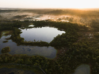 Nature of Estonia, Seli swamp, bog at sunrise, fog from lakes, photo view from a drone.