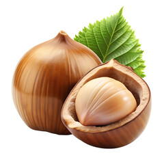 Hazelnut isolated on transparent background png
