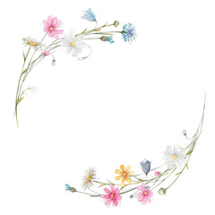 Hand drawn watercolor wildflower round frame illustration. Cute floral template with buds and leaves