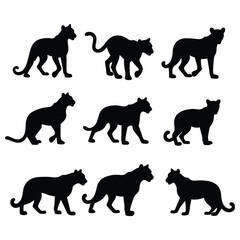 A collection of 9 leopard silhouettes in various dynamic poses