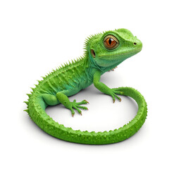 Fototapeta premium Cute green lizard, isolated on white background