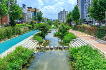 서울시 성북구 성북천의 여름